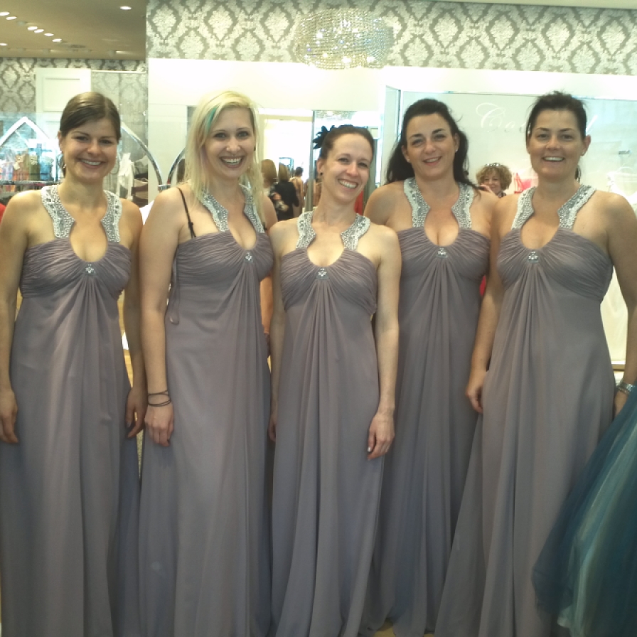 The Bride and her Bridesmaids V.01